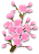 sakura041.gif
